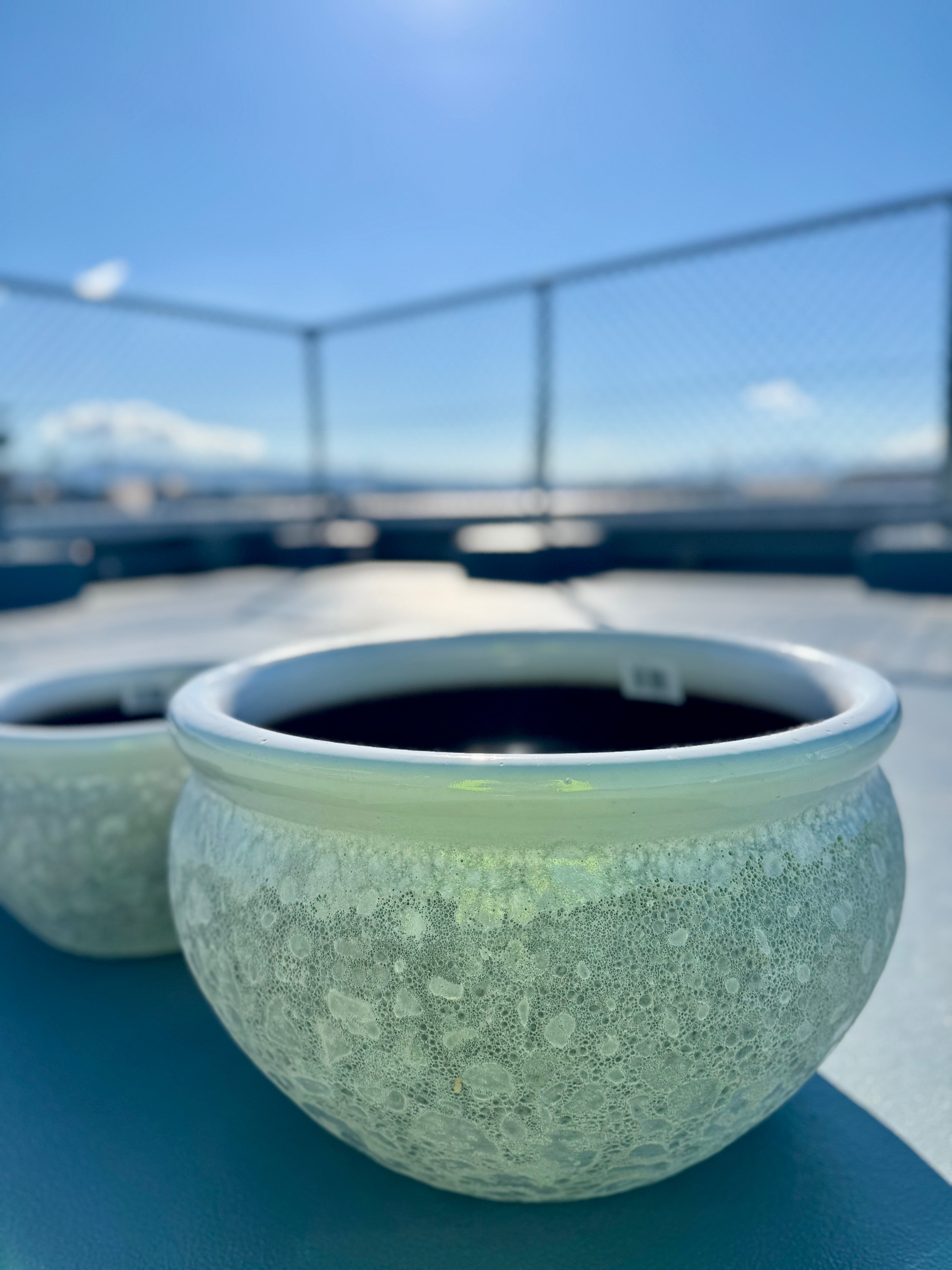 み*し様 乳白 青縁 スミ入れ鉢 【公式通販】