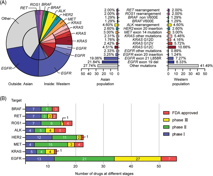 ONCOLOGIE | Free Full-Text | Advances in Targeted Therapy Against