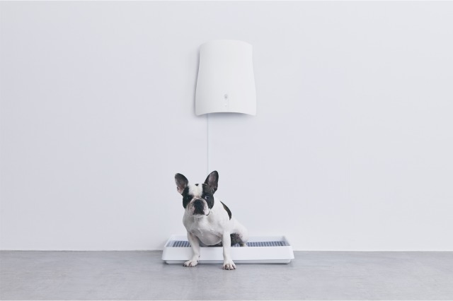 ペットのトイレ臭に着目した除菌脱臭機「QAIS-air-04A1J (for pet)」が